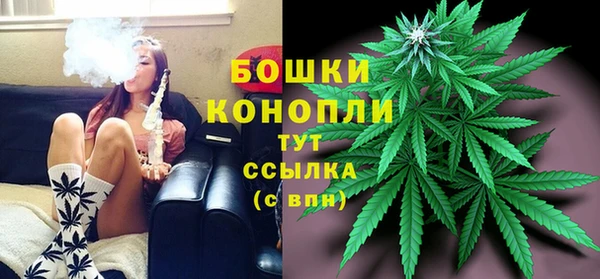 прущие грибы Киренск