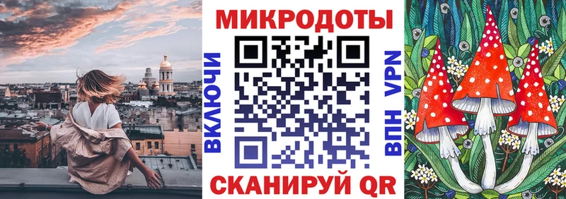 купить   Кудымкар  Галлюциногенные грибы Psilocybe 